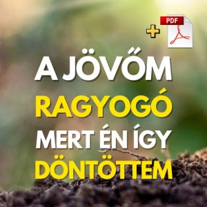A jövőm ragyogó - PDF - Bob Ramóna